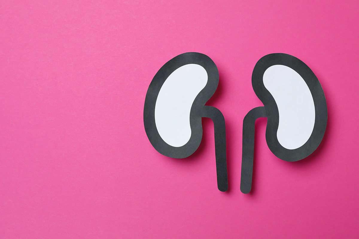 Νεφρική λειτουργία και πρόληψη νεφρικών παθήσεων